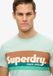 Superdry Terrain gestreept T-shirt met logo voor heren - Regular Fit - Katoen - Korte mouw - Ronde hals - XXL - Harbour grey slub