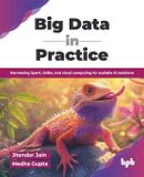 Big Bpb Publications Big Data in Practice