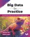 Big Bpb Publications Big Data in Practice