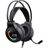 HAVIT H2040d Gaming Headset