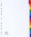Exacompta 20x Tabbladen karton 160g - geplastificeerde gekleurde tabs + index - 12 tabs - A4 maxi - Wit - 4312E