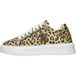 Roberto Cavalli Baskets pour animaux