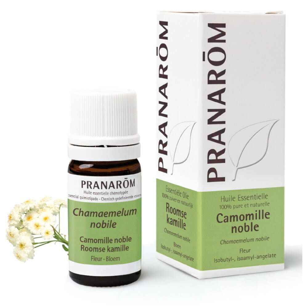 Pranarôm Pranarôm Etherische Olie Roomse Kamille 5 ml