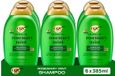 OGX Shampooing Romarin Menthe, 6x385 ml