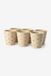 Sissy-Boy Beige Coffee Mugs With Hearts