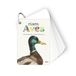 Fíjate: aves: Pequeña guía para iniciarse en la observación de la naturaleza.: 10