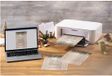 Sigel Kerst-Motivpapier 'Golden Greens', A4, 90 g/m²