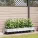 vidaXL - Plantenbak met Irrigatie en Wielen - 4 st - Wit - PP