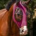 QHP Vliegenmasker Super Bug Roze - Pony