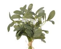 Everlands Bunch polyester l20b20h24 cm groen