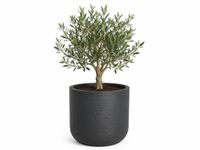 EDA Bloempot / plantenpot Graphit - rond - kunststof - antraciet - D49 x H46 cm - binnen en buiten