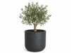 EDA Bloempot / plantenpot Graphit - rond - kunststof - antraciet - D49 x H46 cm - binnen en buiten