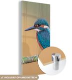 MuchoWow® Glass Painting 80x160 cm - Acrylic Glass Painting - Bird - Kingfisher - Animals - Branch - Photo on Glass - Paintings