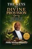 THE Libri GmbH The Keys to Divine Provision Paperback