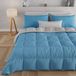 PETTI Artigiani Italiani - Winterdekbed 220x260 cm 1,5-Persoons, Warm Dubbelzijdig Dekbed Lichtblauw Grijs, Anti-allergisch Microvezel 300g/m², Zacht en Behaaglijk, Made in Italy