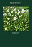 Small Miracles: Nature Photography and Poems