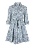 Apricot Cotton Poplin Leaf Shirt Mini Dress