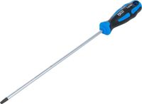 BGS technic BGS Schroevendraaier - Torx T30 - Meslengtev 250 mm