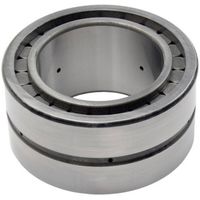 INA SL182217-A-C3 Roulement à rouleaux cylindriques