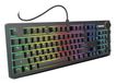 Ozone StrikeBack Gaming Keyboard USB Zwart