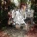 WILDLIFE La Dispute - Wildlife (CD)