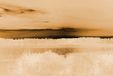 A.S. Création Papier peint LandscapeArt1 DD118430