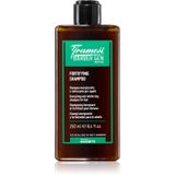 Framesi Barber Gen Fortifying Shampoo 250ml