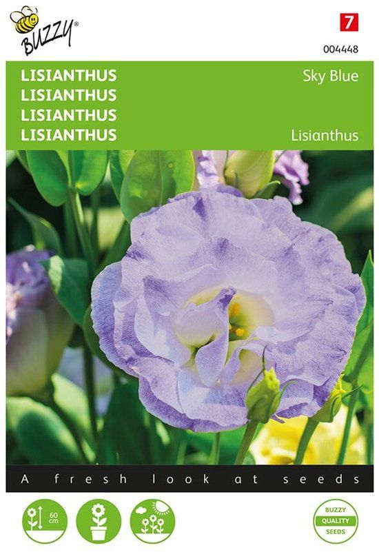 Buzzy Lisianthus Sky Blue