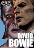 Pop Icons David Bowie