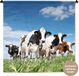 1001Tapestries Wandkleed - Koeien - Platteland - 90x90 cm - Katoen - Multi