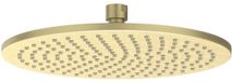 IVY Hoofddouche Medium 25 cm - Geborsteld Mat Goud