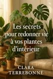 Les secrets pour redonner vie à vos plantes d'intérieur