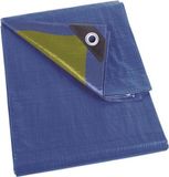 Perel Dekzeil, sterk, 44 ringen, versterkte hoeken, rechthoekig, blauw/groen, 110 g/m², 10 x 12 m
