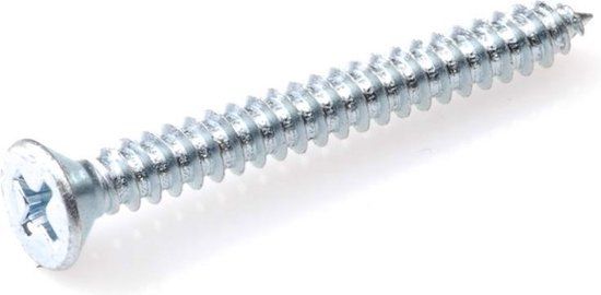 Hoenderdaal Fasteners Hoenderdaal Plaatschroef Pk Philips Verzinkt 3.9x9.5mm - 200 stuks