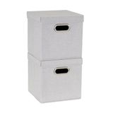 Household Essentials 804-1 Café Opbergkubus met deksels en handvatten, 2 stuks, grijs, linnen