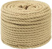 vidaXL Multifunctioneel touw 8 mm 500 m Naturel PP