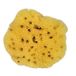 Croll & Denecke Natuurspons, naturel