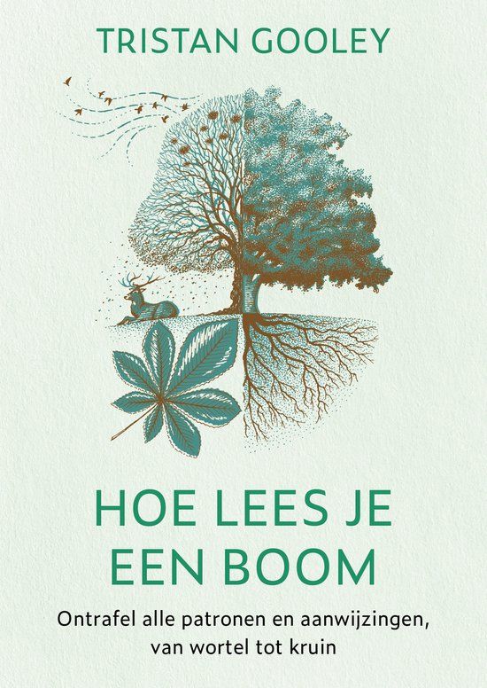 Hoe Kosmos Uitgevers Hoe lees je een boom
