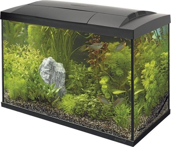 SuperFish Aquarium Start 100 Tropical Kit Zwart