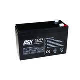 DSK 10363 UPS-accu Sealed Lead Acid (VRLA) 12 V 9 Ah