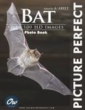 Bat: Picture Perfect Photo Book