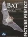 Bat: Picture Perfect Photo Book