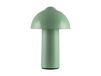 Globen Lighting Buddy Lampe de Table Portable IP44 Vert
