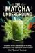 The Matcha Underground: A Barista Nerd's Handbook to Hacking the World's Most Expensive Green Powder