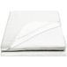 Antar AT05006 Waterdicht Herbruikbaar Matras Pad met Rubber 290 g, 200 cm x 90 cm Maat
