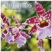 The Gifted Stationary Orchidee Kalender 2027