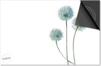 Dietrix Inductie beschermer 71x52 - DELUXE - Botanical - Allium Bollen plant