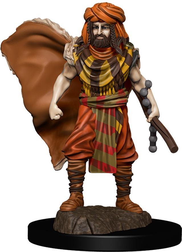 WizKids Dungeons and Dragons Icons of the Realms - Human Druid Male Merchandise