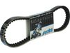 Polini Aandrijfriem voor Scooter Peugeot 50 Buxy 248.038 / 765x18.2x8mm x 30 Nieuw