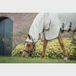 Horseware Rambo Sweet Itch Hoody Pony Beige - 85/130